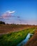 Marshy river on a summer evening