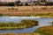 Marshy salt ponds in Coyote Hills Regional Park, Fremont, California