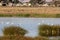 Marshy salt ponds in Coyote Hills Regional Park, Fremont, California