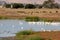 Marshy salt ponds in Coyote Hills Regional Park, Fremont, California