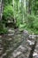 Martental, Germany - 06 02 2022: old ruin at tiny rivers in the light green forest