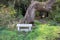 Martha Walker Garden, bench