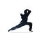 Martial art silhouette vector, fight sport logo design.