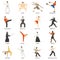 Martial Arts Decorative Flat Icons Set