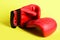 Martial arts and heavy weight sports with red boxing mittens