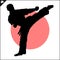 Martial arts. Karate fighter silhouette scene.