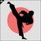 Martial arts. Karate fighter silhouette scene.