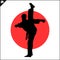 Martial arts. Karate fighter silhouette scene.