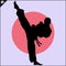 Martial arts. Karate fighter silhouette scene.