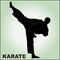 Martial arts. Karate fighters silquette high kick. Vector. EPS.