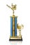 Martial arts trophy