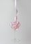 Martini glass with pink party ribbon. Minimal celebration concept