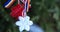 Martisor with Romanian tricolor elements, red roses and decorative holiday background. Moldavian and Romanian spring and love