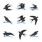 Martlet set. Vector bird