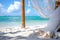 Marvel at a stunning beach covered in shells beneath a beautiful canopy of trees, A beach themed wedding background with a