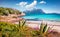 Marvelous summer view of Tavolara island from Spiaggia del dottore beach. Stunning morning scene of Sardinia island, Italy, Europe