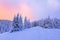 Marvelous winter sunrise high in the mountains in beautiful forests and fields.
