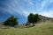 Mary` s Stones in Greci village, Romania