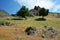 Mary` s Stones in Greci village, Romania