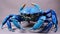 Maryland Blue Crabs. vivid hues and complex textures of a Blue Crab exoskeleton. AI Generative