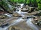 Maryland forest waterfall