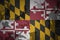 maryland state flag on the khaki texture . military concept