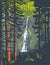 Marymere Falls in Olympic National Park Washington State WPA Poster Art