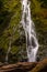The Marymere Waterfall in Olympic National Park, Washington State, USA, on a long exposure to add blurred motion to the