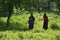 Masai aboriginal in wild Africa. National resident of Tanzania. Ancient antique Traditions of Africa.