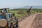 Masai giraffe crosses dirt track past jeep