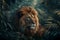 Masai lion, a Felidae carnivore, stares at the camera in the grassy jungle