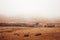 Masai or Maasai Village in empty golden grass plain. Ngorongoro Consevation, Serengeti Savanna forest in Tanzania