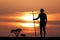 Masai man silhouette at sunset