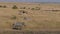 Masai Mara, Kenya- July 18,2017: Safari Jeep On The Savannah With A Herd Animals