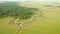 Masai Mara Wetlands