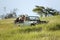 Masai scout and tourists look for animals from a Landcruiser during a game drive at the Lewa Wildlife Conservancy in North Kenya,