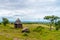 Masai village with small huts in African savanna, Tanzania