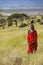 Masai Warrior in red surveying landscape of Lewa Conservancy, Kenya Africa