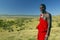 Masai Warrior in red surveying landscape of Lewa Conservancy, Kenya, Africa