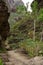 Masca walk in Tenerife, Canary Islands.