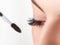 Mascara Brush. Woman eye with long eyelashes.