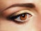 Mascara. Close Up Woman\'s Eye with Golden Eyeshadow