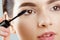 Mascara Closeup Of A Beautiful Young Woman A Face With A Beauty Makeup, Fresh Soft Skin Applying Mascara With Cosmetic Brush. Make