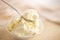 Mascarpone cream cheese close-up. Mascarpone Italian soft milk cream closeup, in wooden spoon. Homemade ice cream