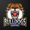 Mascot of angry bulldog head, logo for a sport team