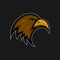 Mascot eagle logo sports club. Falcon head emblem. Aggressive hunter face hawk bird sticker