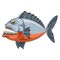 Mascot fish of an piranha