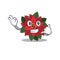 Mascot flower poinsettia with in call me character