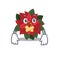 Mascot flower poinsettia with in silent character