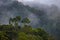 Mashpi Ecological Reserve, Ecuador, Highlands,